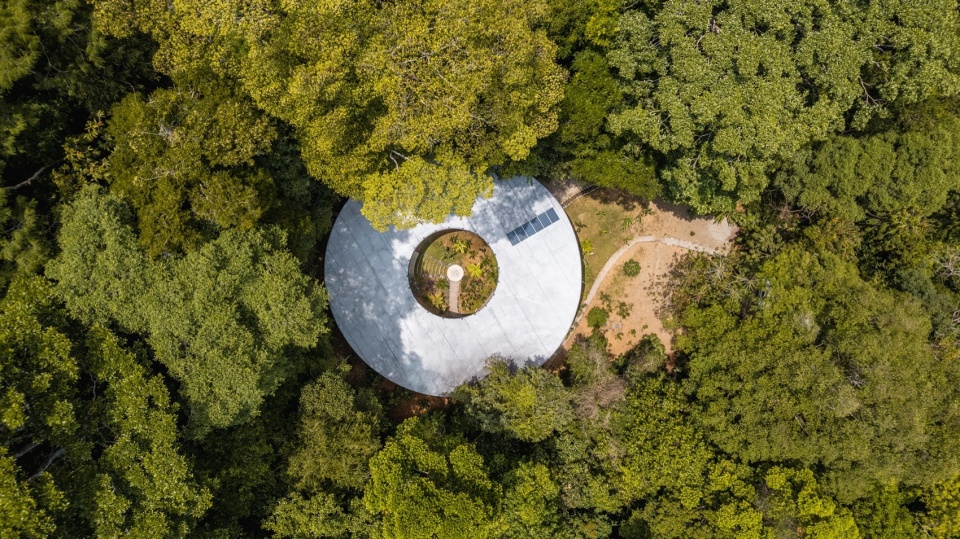 Sinfonia Verde by Studio Saxe