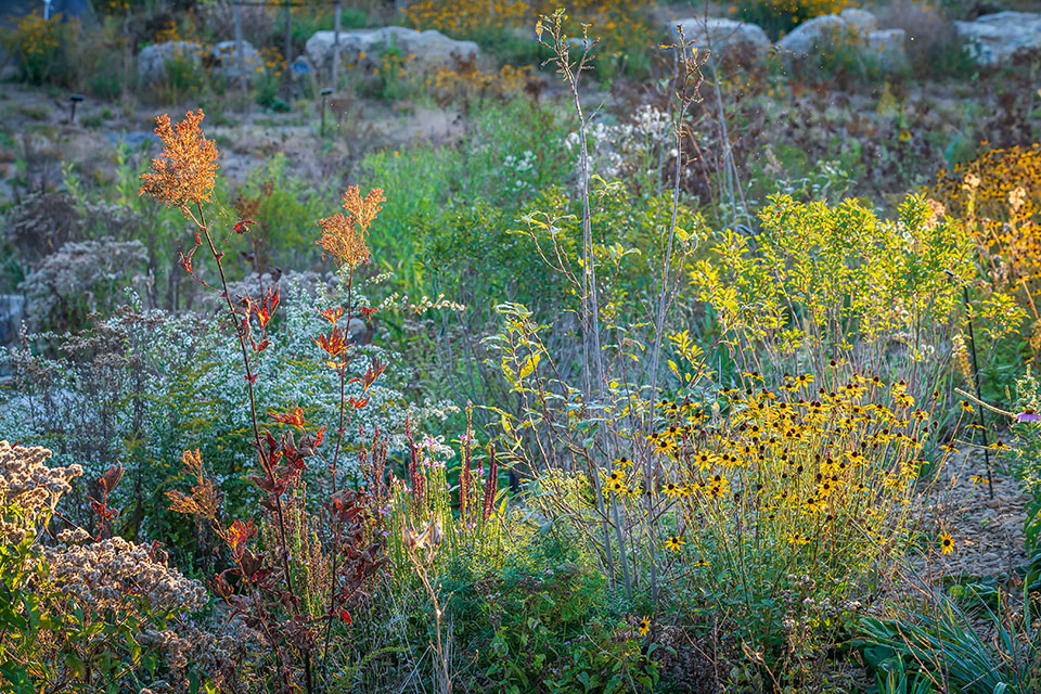 Pollinator and Bird Garden Designed by Didier Design Studio - 谷德设计网