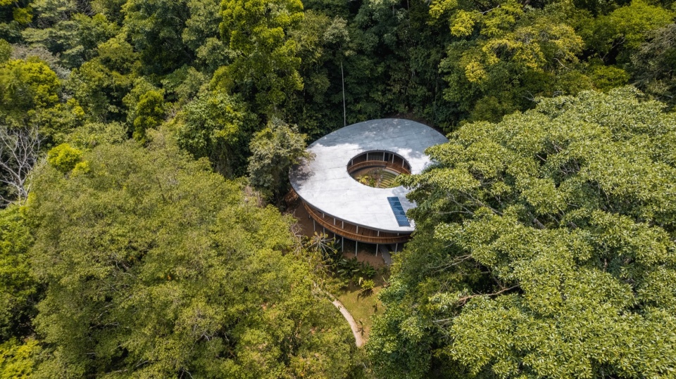 Sinfonia Verde by Studio Saxe