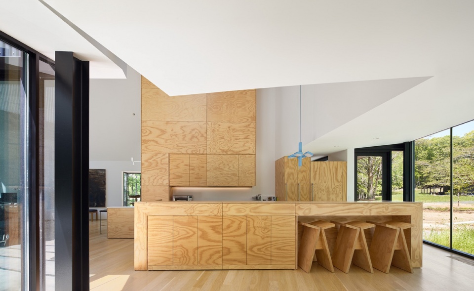 Steeplechase House by Brooks Scarpa