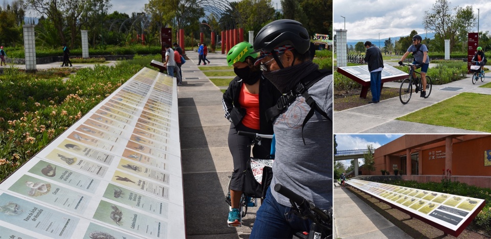 Xochimilco Ecological Park by Grupo de Diseno Urbano SC