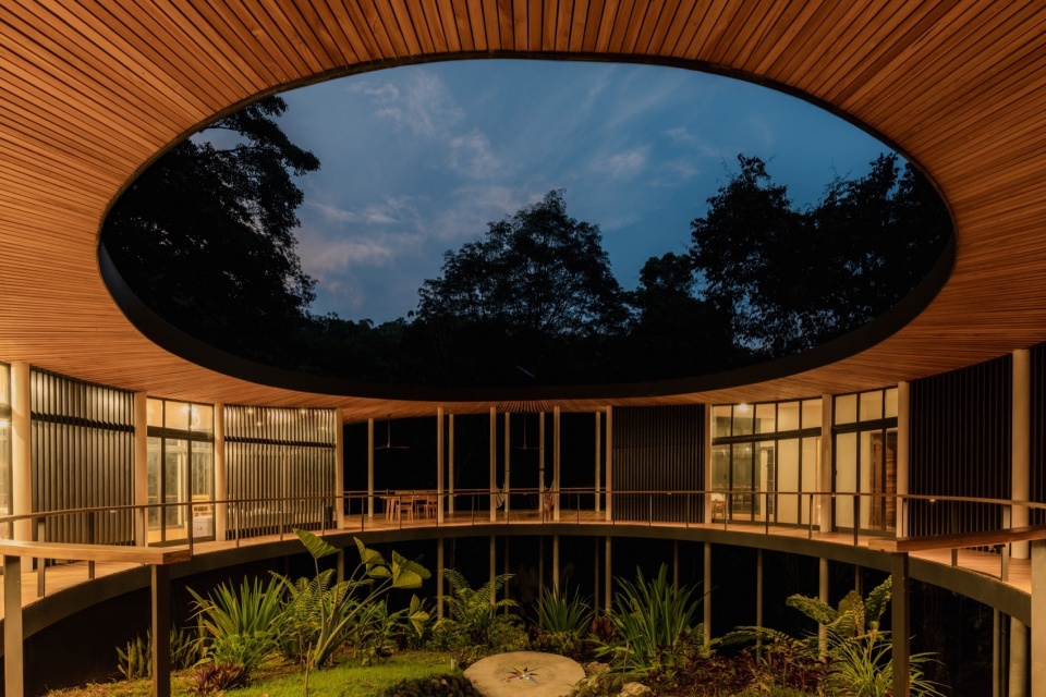 Sinfonia Verde by Studio Saxe