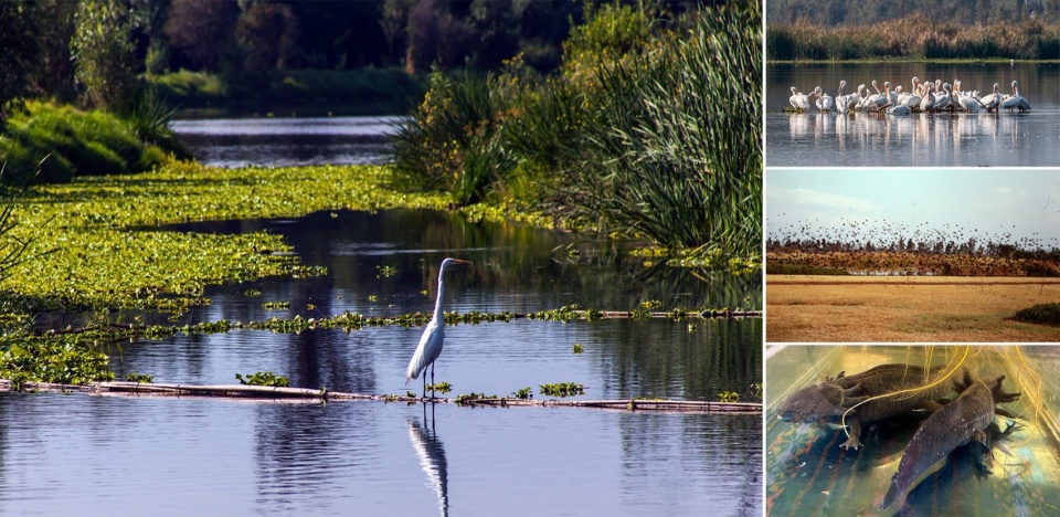 Xochimilco Ecological Park by Grupo de Diseno Urbano SC