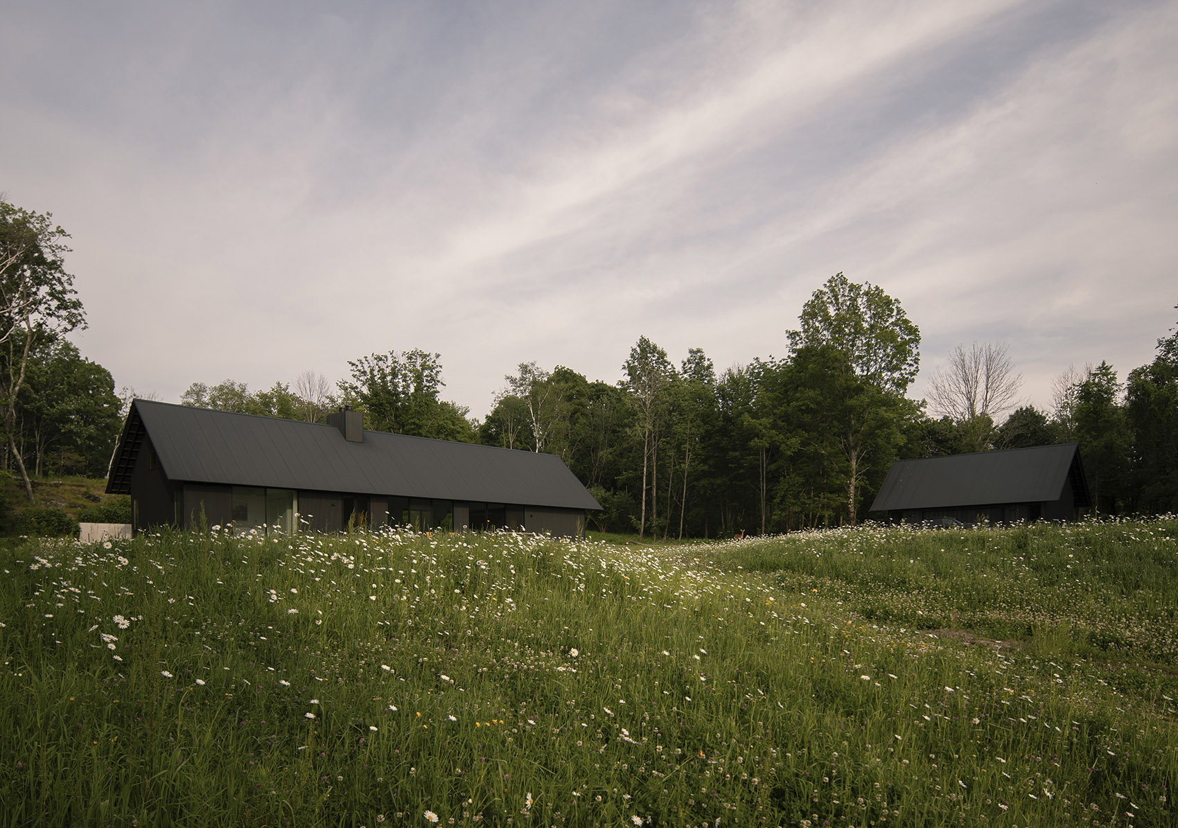 House in a Meadow by Group Projects Architecture - 谷德设计网
