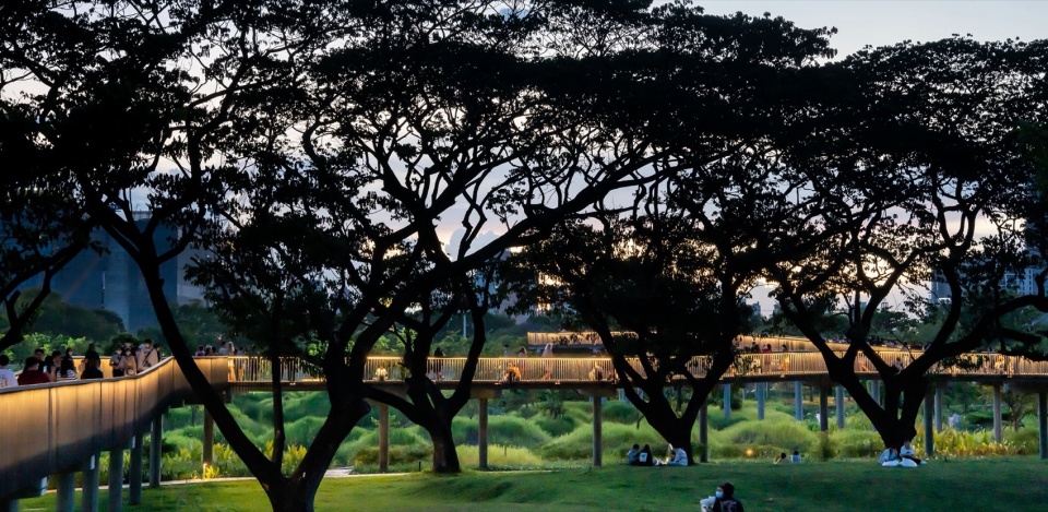 2024 ASLA Benjakitti Forest Park by Turenscape Arsomsilp