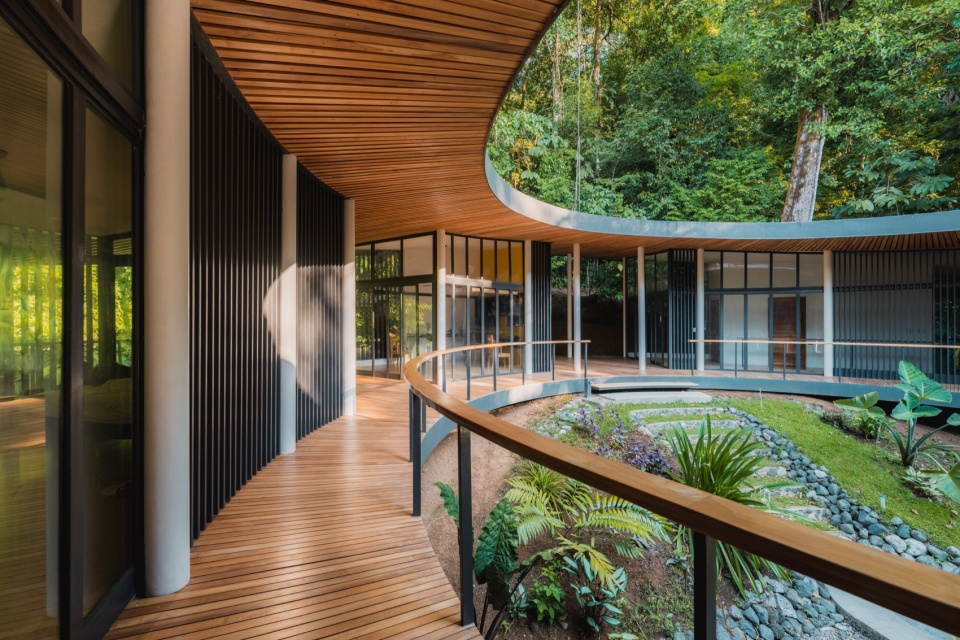 Sinfonia Verde by Studio Saxe