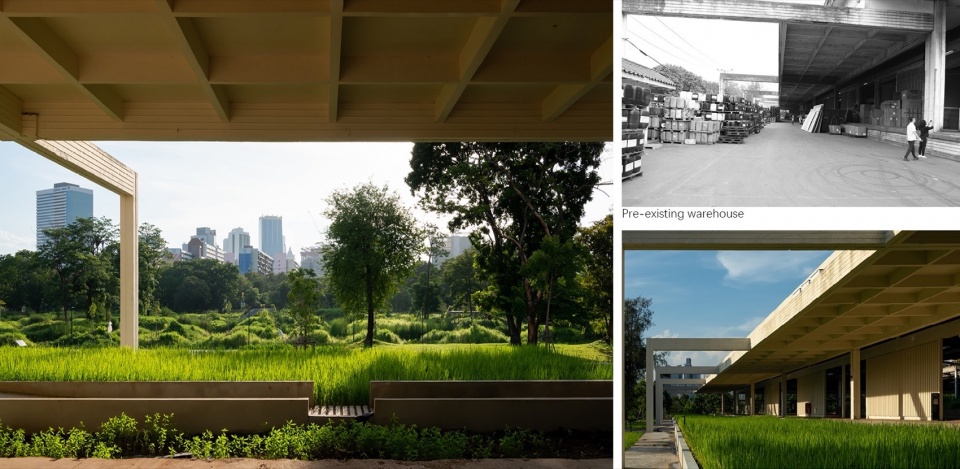 2024 ASLA Benjakitti Forest Park by Turenscape Arsomsilp