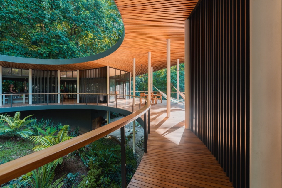 Sinfonia Verde by Studio Saxe