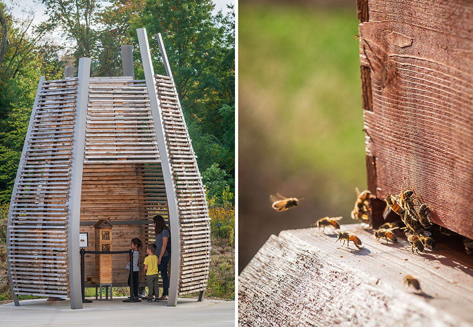 Pollinator and Bird Garden Designed by Didier Design Studio - 谷德设计网