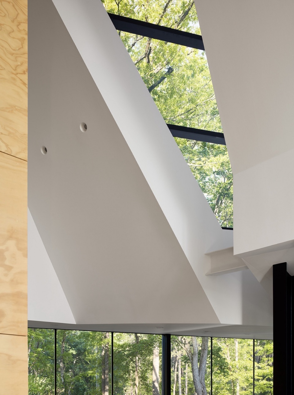 Steeplechase House by Brooks Scarpa
