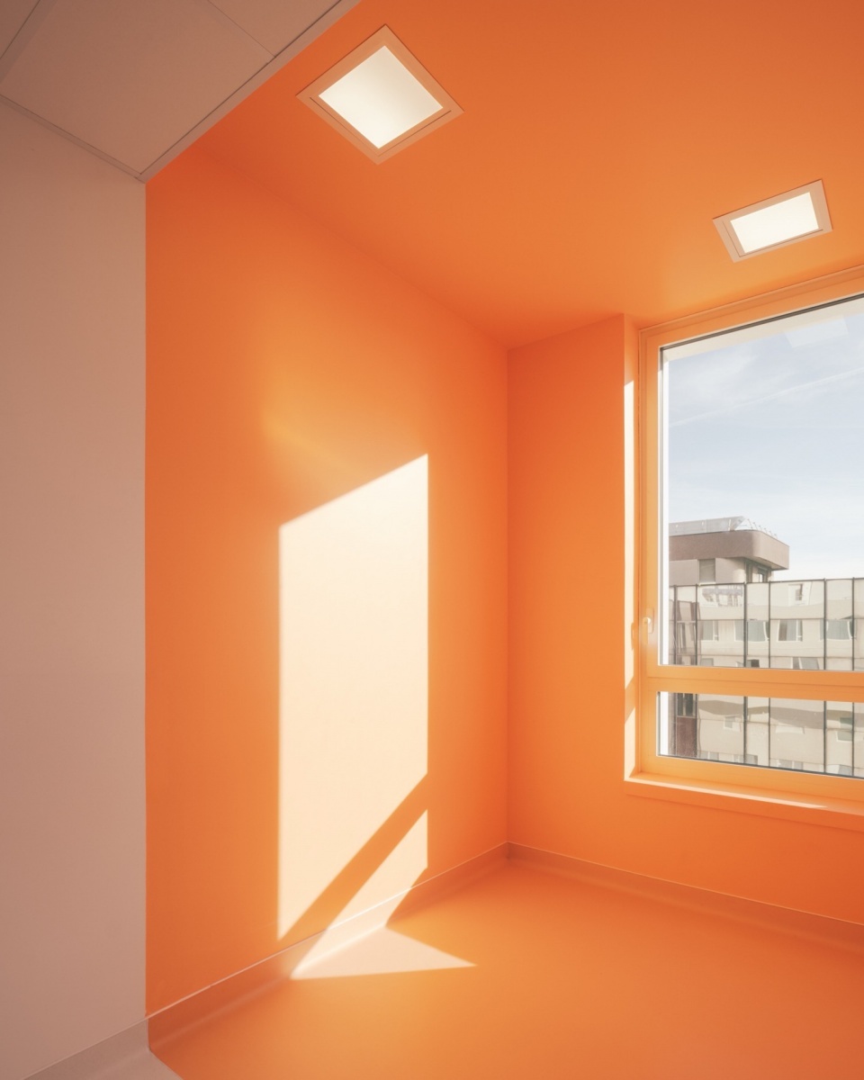 GHU Paris Centre Hospitalier Pargade Architectes