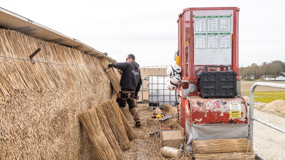 Unboxing Carbon Henning Larsen expands open source carbon catalogs