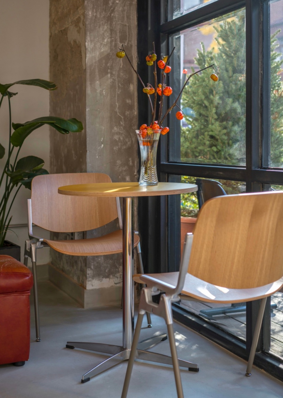 black bone coffee by wave design