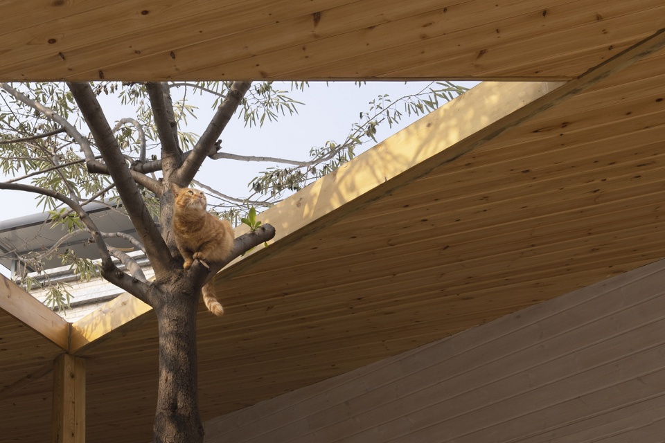 earth sign cafe by immediacy design and research office
