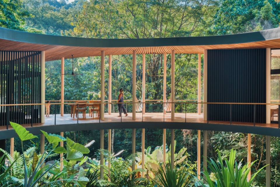 Sinfonia Verde by Studio Saxe