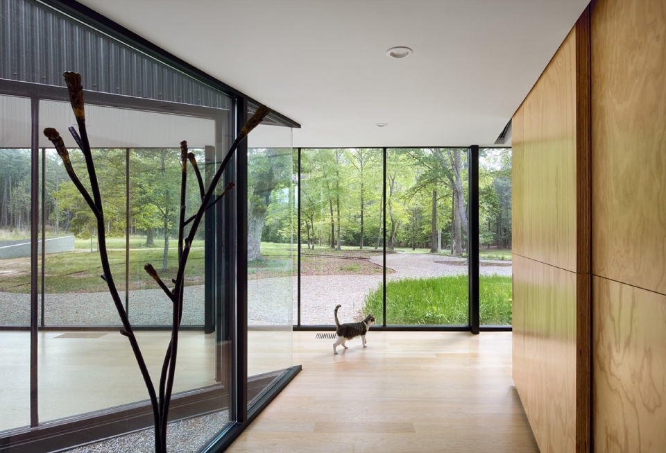 Steeplechase House by Brooks Scarpa