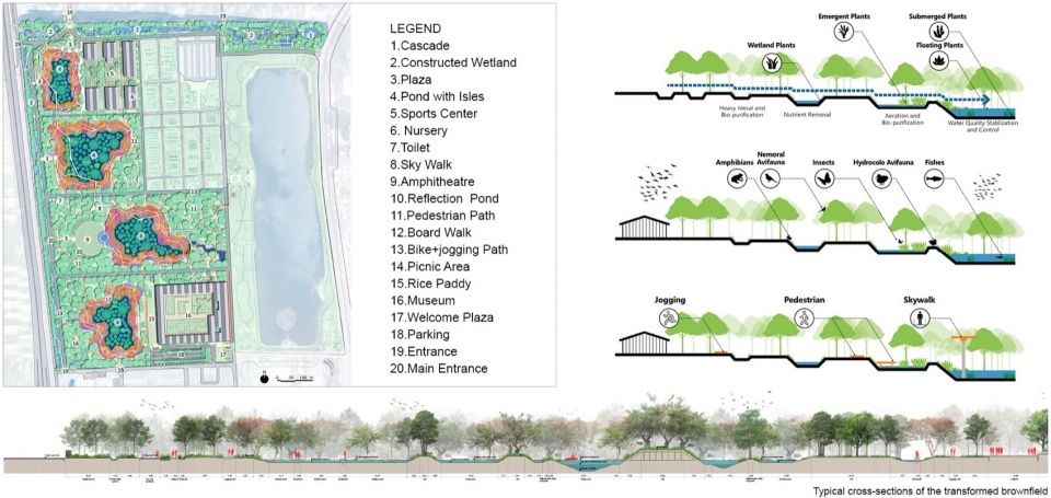 2024 ASLA Benjakitti Forest Park by Turenscape Arsomsilp