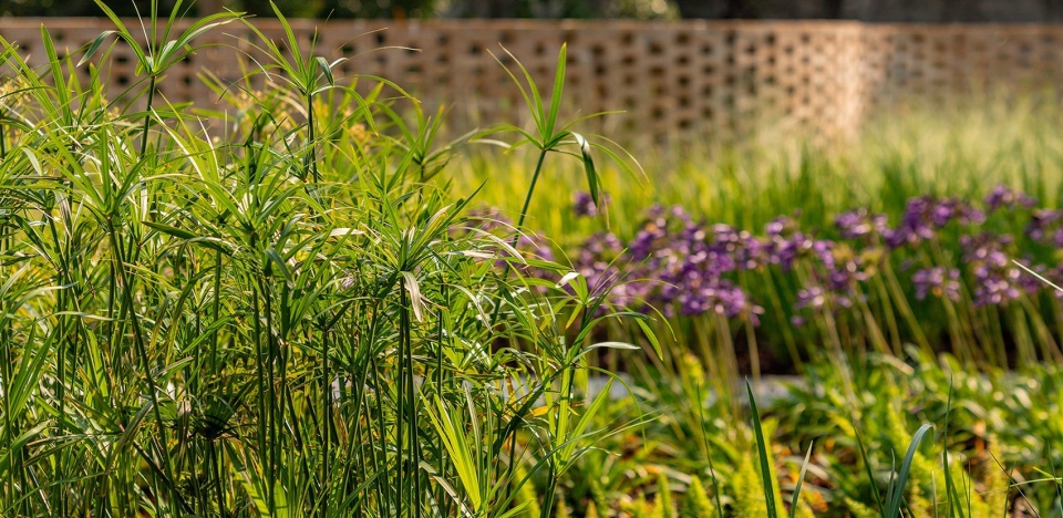 2024 ASLA GENERAL DESIGN AWARD OF HONOR African Ancestors Memorial Garden by Hood Design Studio