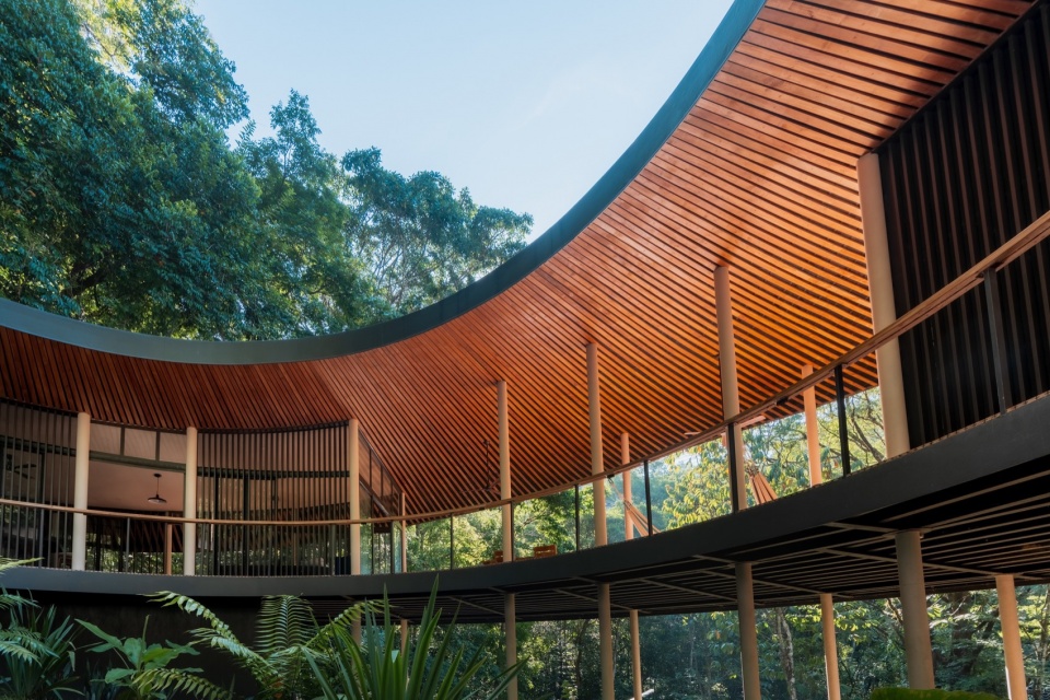 Sinfonia Verde by Studio Saxe