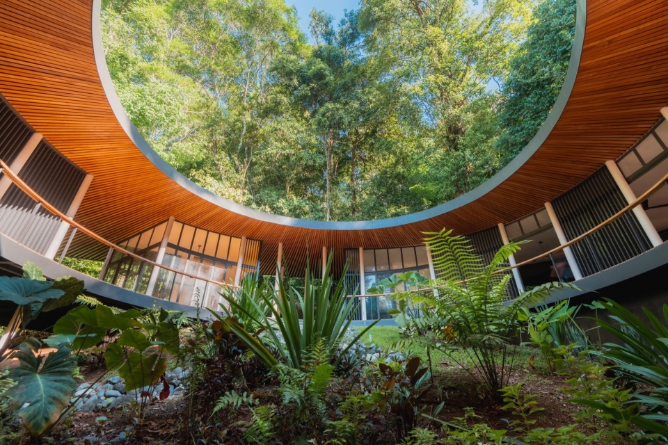 Sinfonia Verde by Studio Saxe