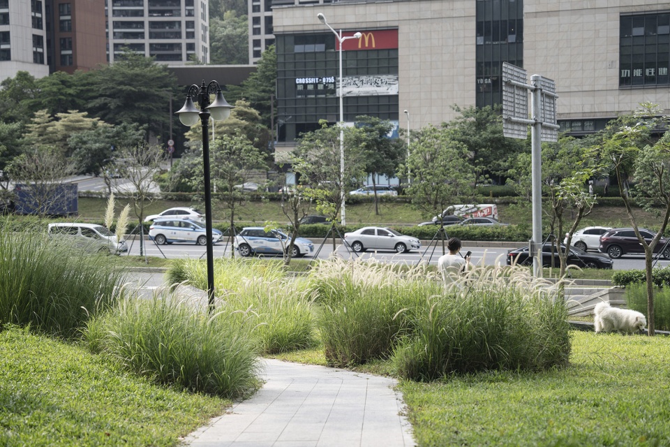 design of the north entrance of bijiashan park by ace design