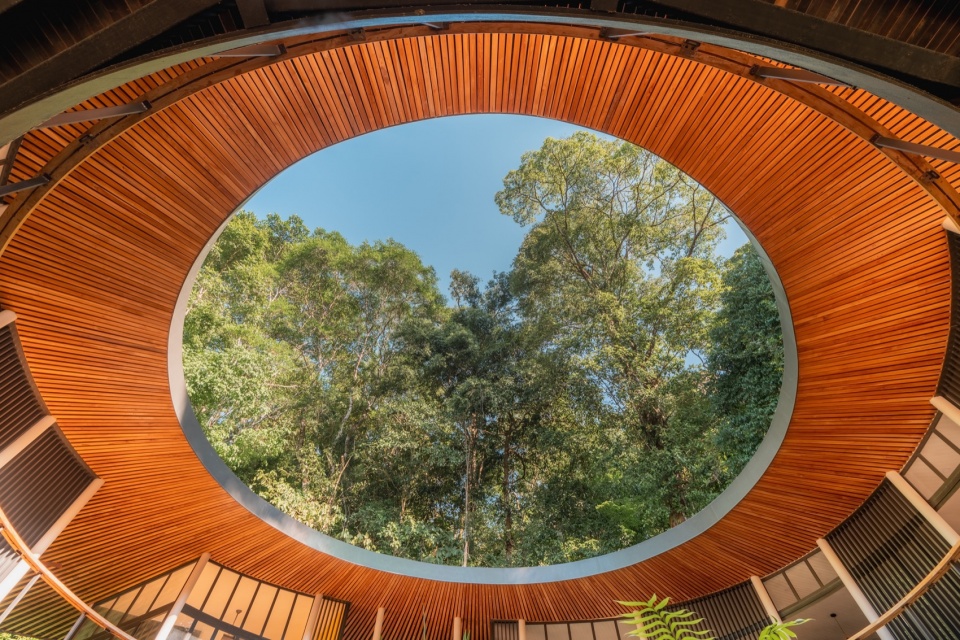 Sinfonia Verde by Studio Saxe
