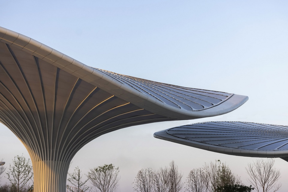 2024 chengdu world horticultural expo service center by tyli
