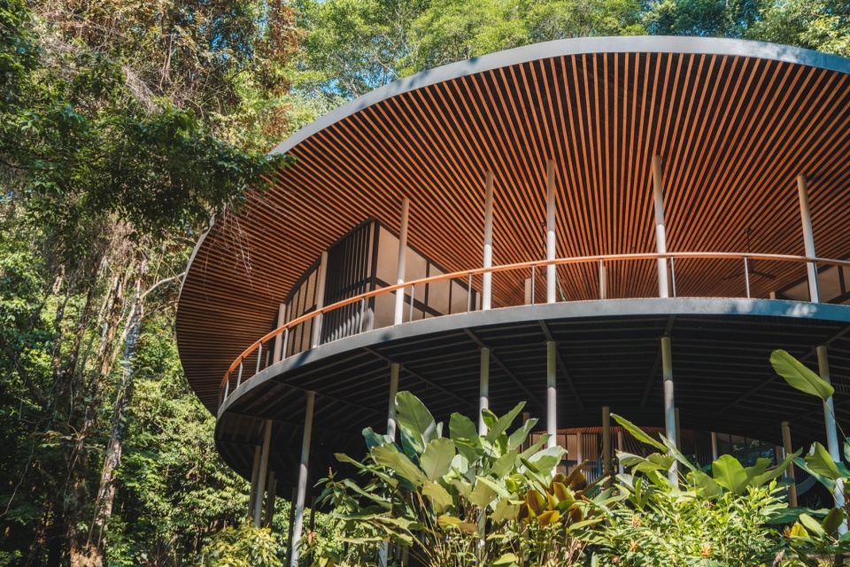 Sinfonia Verde by Studio Saxe