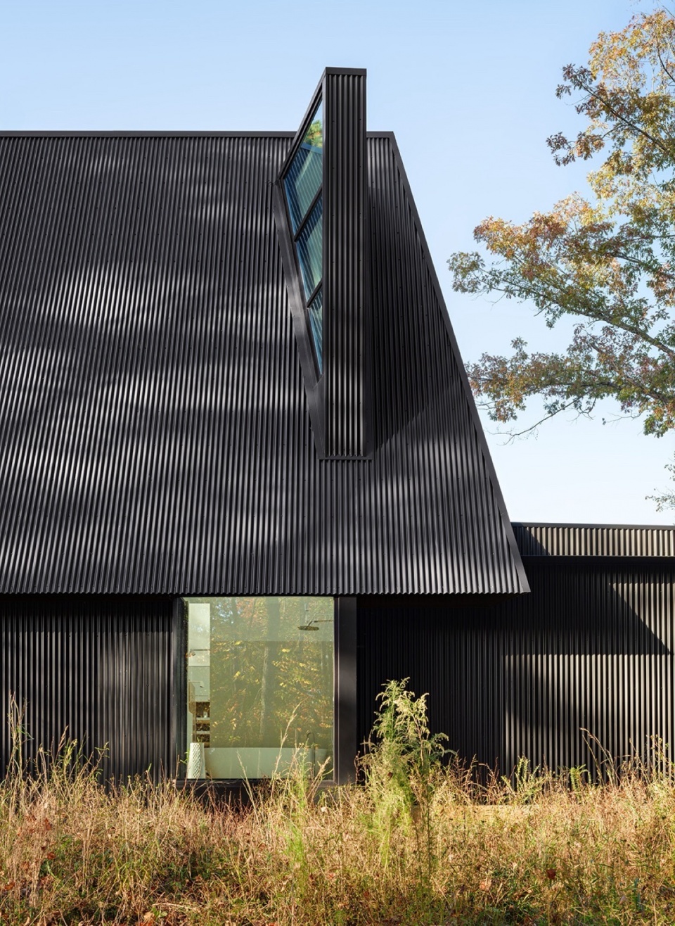 Steeplechase House by Brooks Scarpa