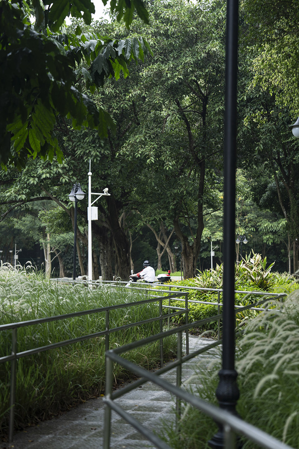 design of the north entrance of bijiashan park by ace design
