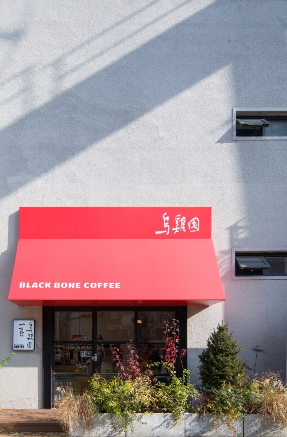 black bone coffee by wave design