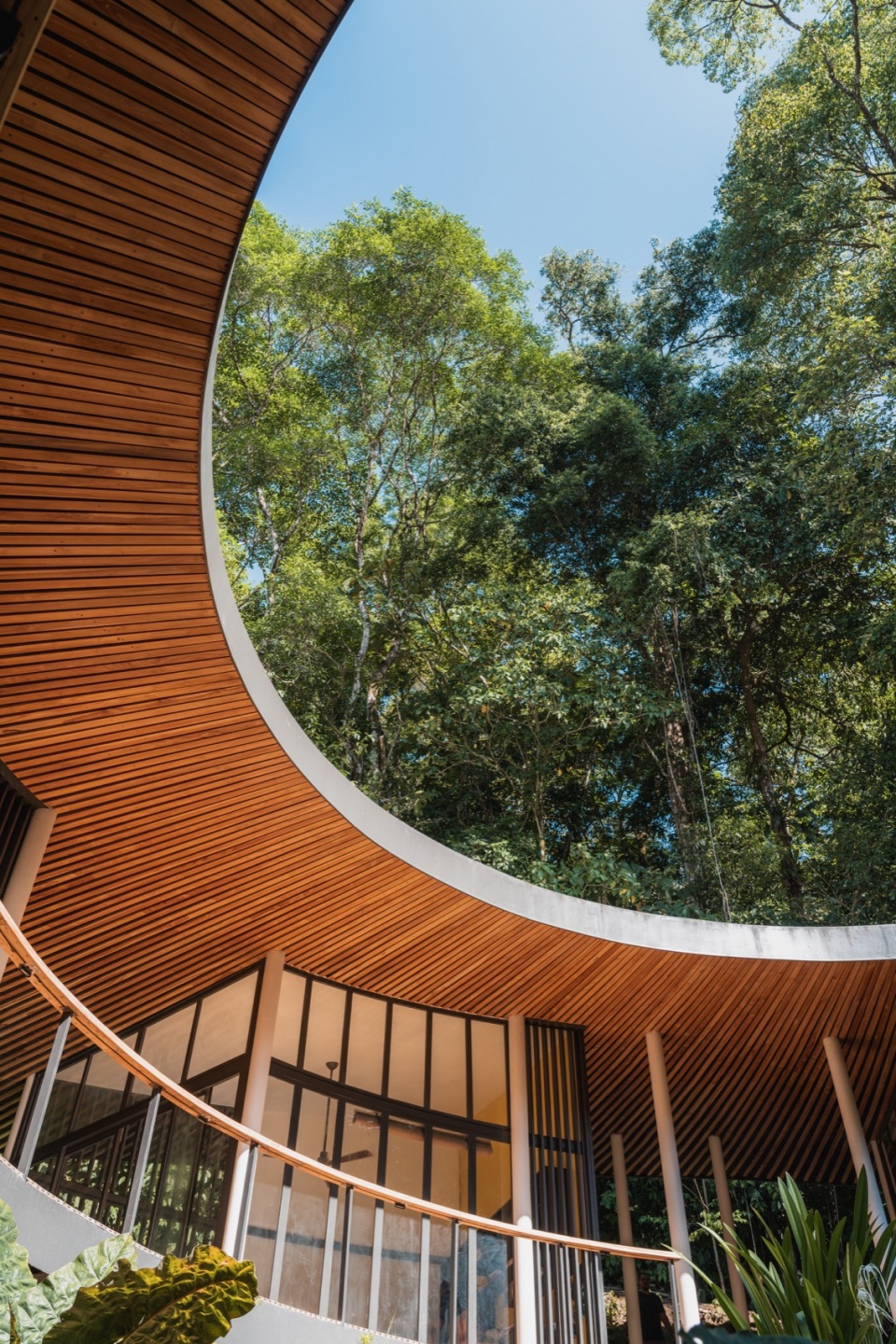Sinfonia Verde by Studio Saxe