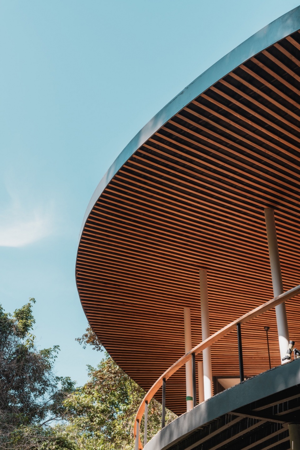 Sinfonia Verde by Studio Saxe