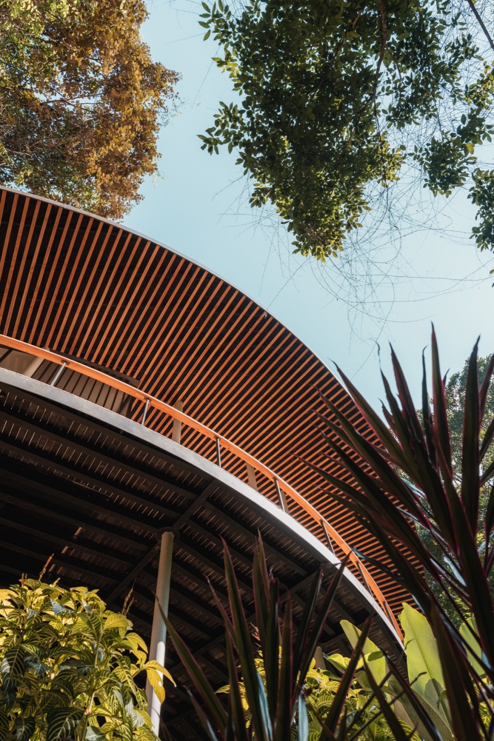 Sinfonia Verde by Studio Saxe