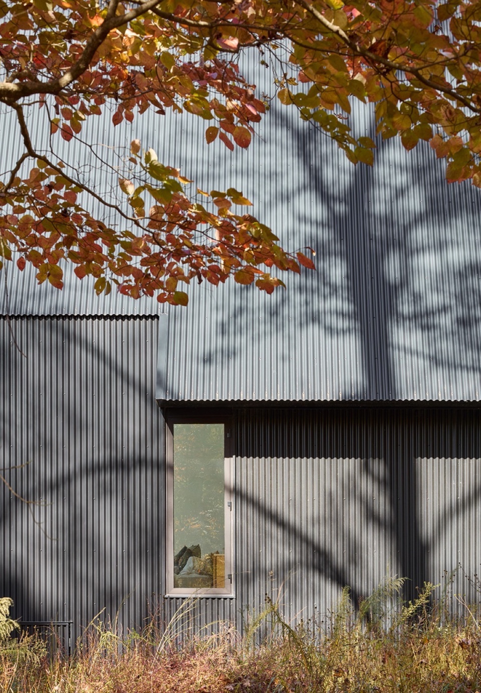 Steeplechase House by Brooks Scarpa