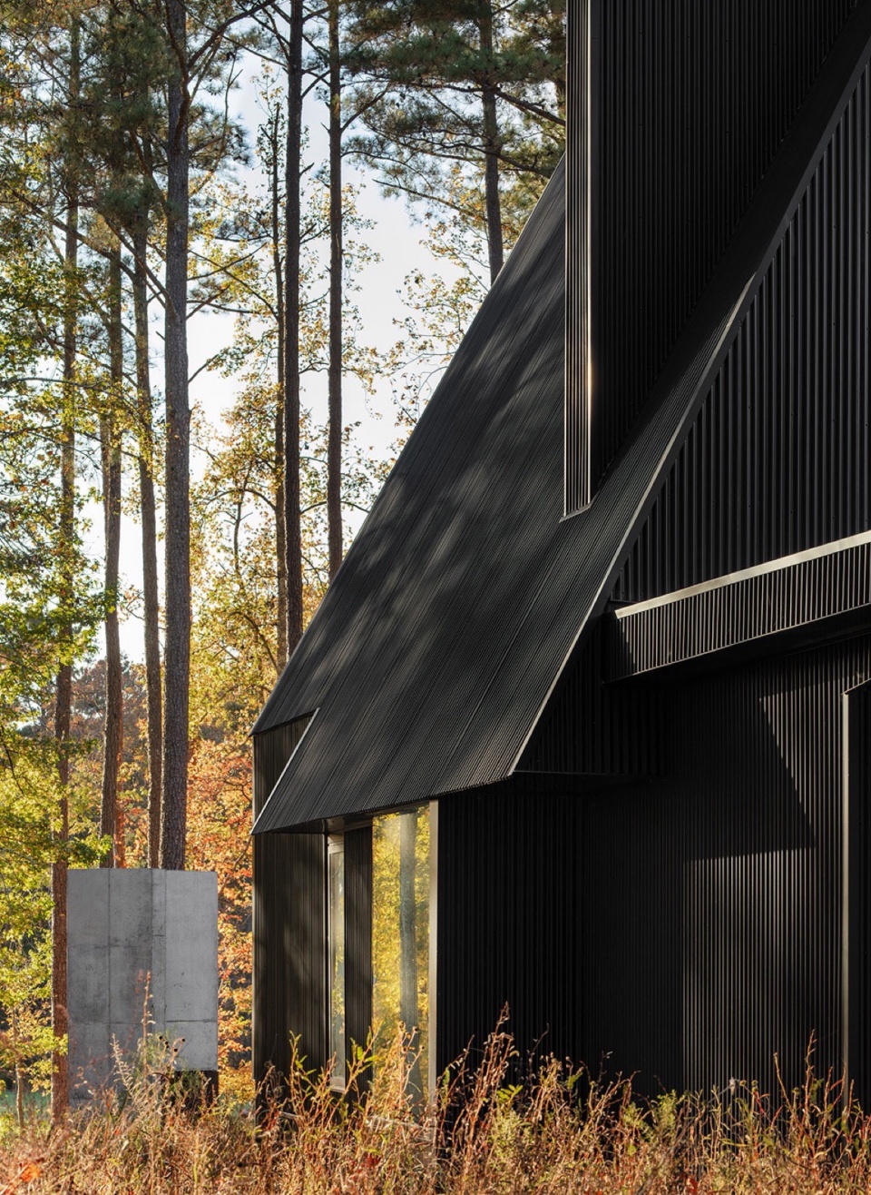 Steeplechase House by Brooks Scarpa pib