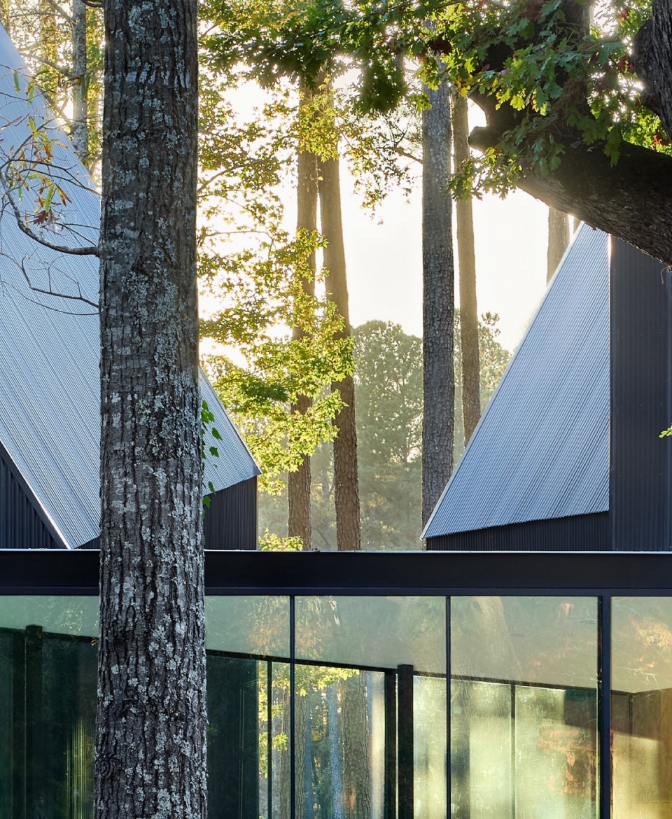 Steeplechase House by Brooks Scarpa