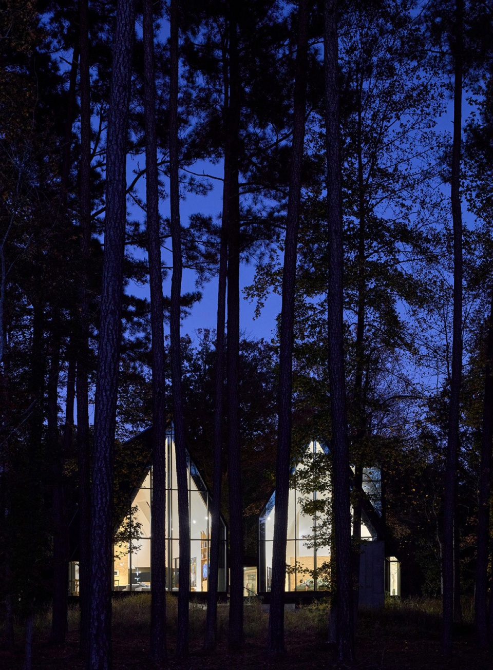 Steeplechase House by Brooks Scarpa k1z
