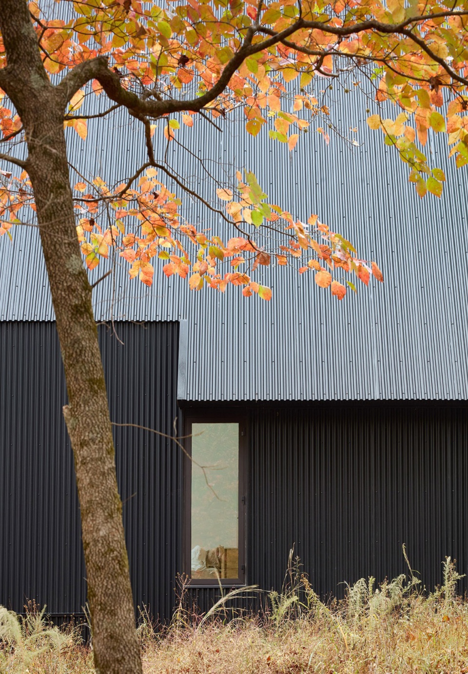 Steeplechase House by Brooks Scarpa pbz