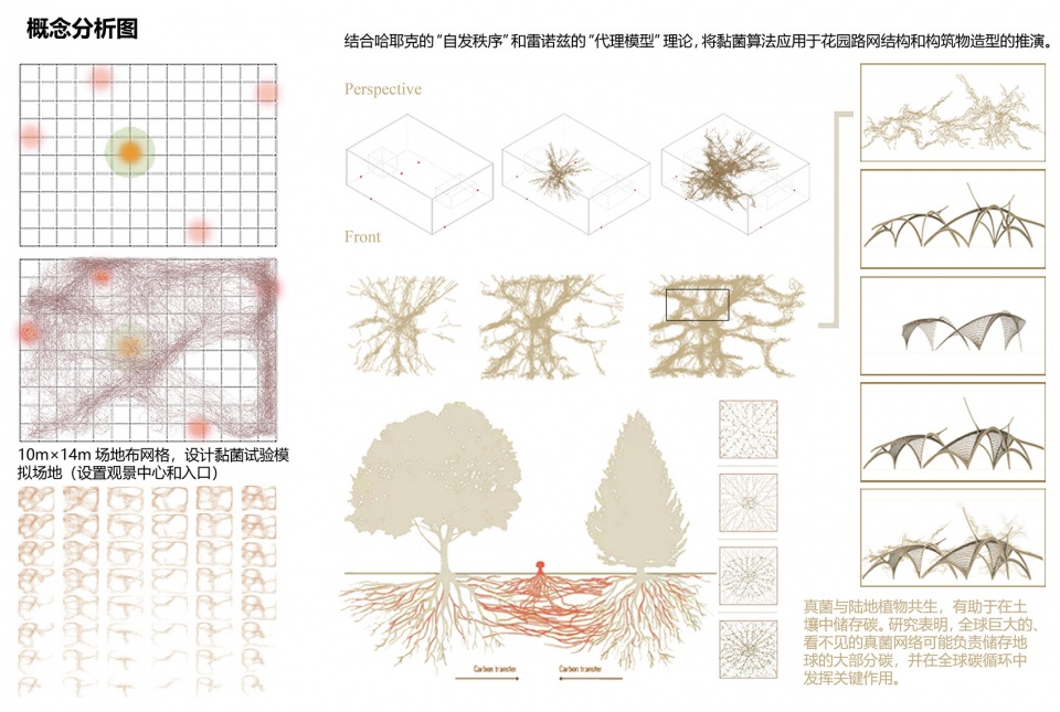 概念分析图 biological self organizing garden