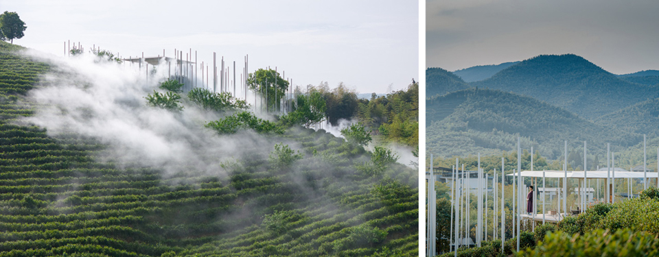 2023 望山茶亭