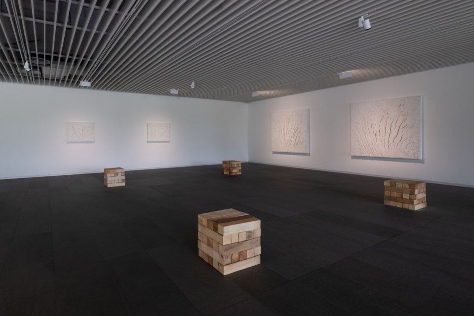bosco sodis largest exhibition in asia