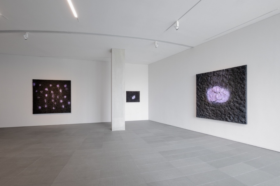 bosco sodis largest exhibition in asia