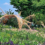 2024首尔国际花园展——生物自组织花园 / 中国美术学院 + 中国美术学院风景建筑设计研究总院有限公司 + 沈实现工作室