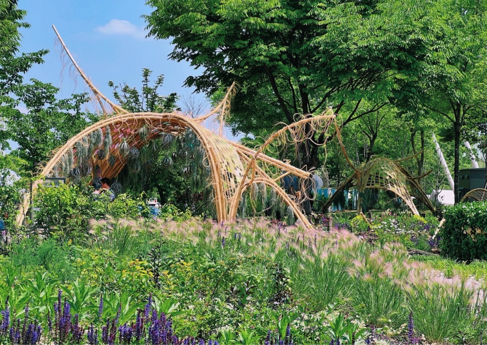花园中有三个较大的竹构,就像从地下随机长出来的大型黏菌 biological self organizing garden