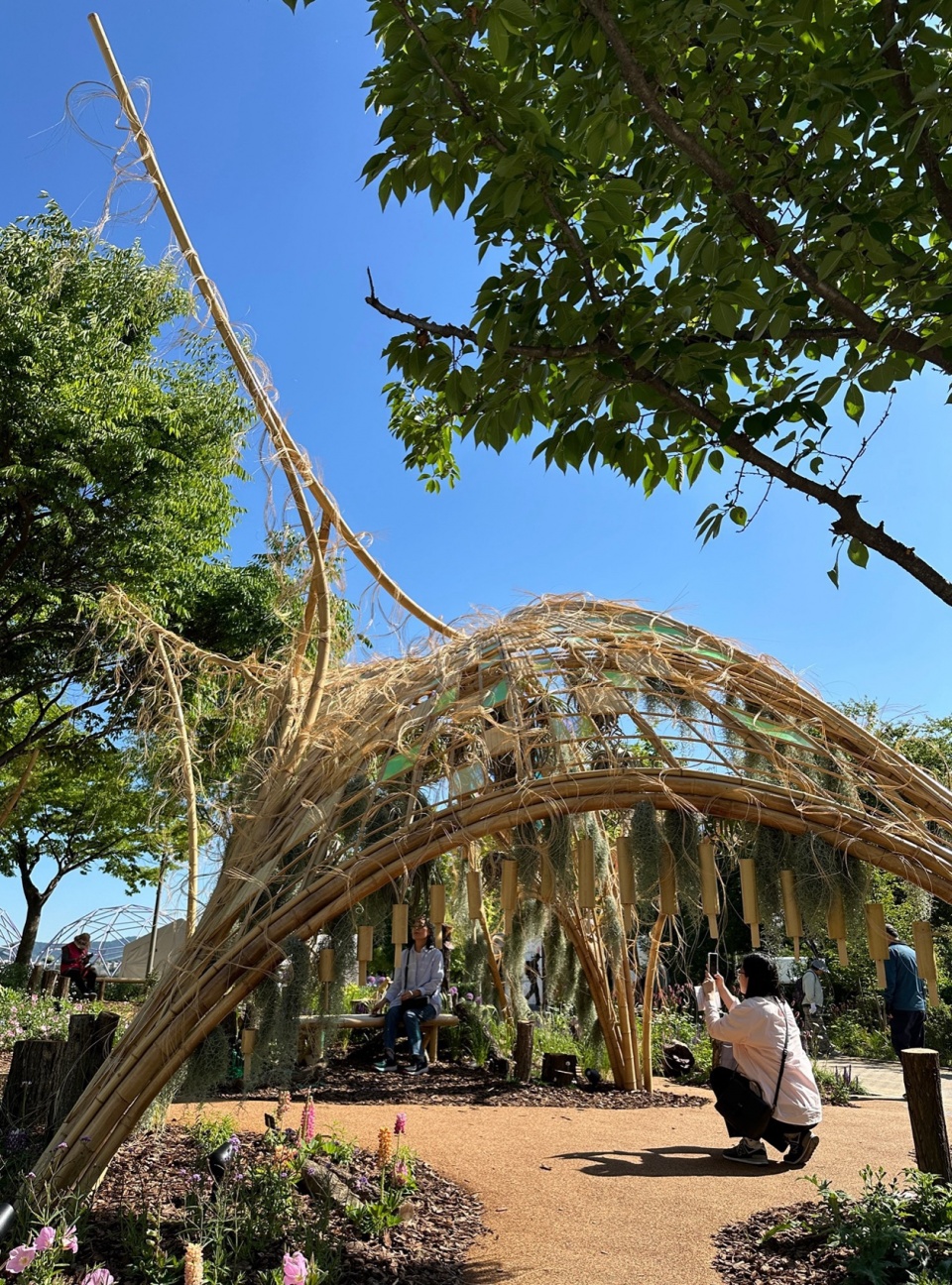 竹构上悬挂竹丝和空气凤梨,就像黏菌的菌丝 biological self organizing garden