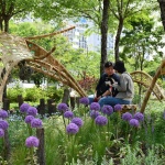 2024首尔国际花园展——生物自组织花园 / 中国美术学院 + 中国美术学院风景建筑设计研究总院有限公司 + 沈实现工作室