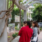 舞台——上海罗山花苑社区微更新 / 衍述设计