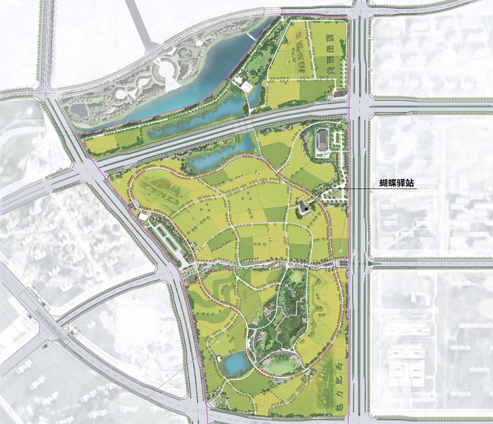 区域总平Site plan butterfly pavilion