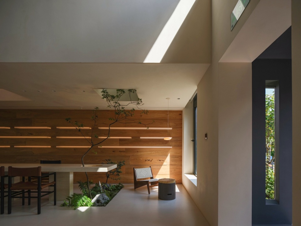 绿植与空中鱼缸呼应©金伟琦 salution lighting studio
